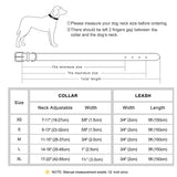 Personalized Leather Dog Collar & Leash Set