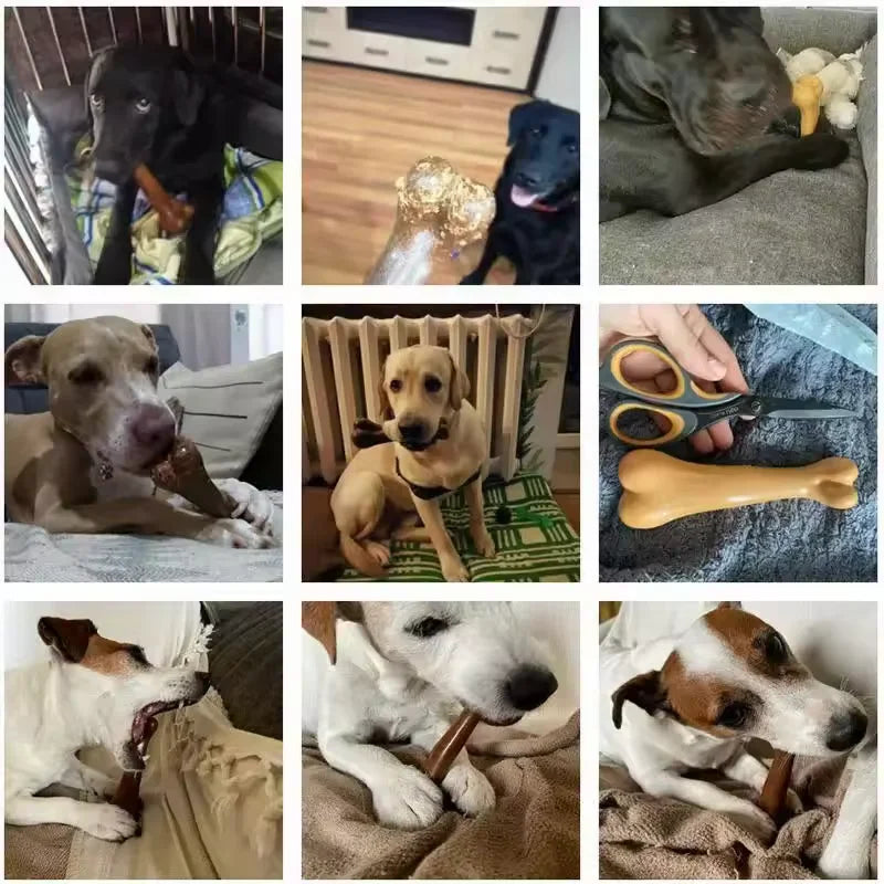 Natural Wood Chew Bone