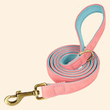 Premium Leather Dog Leash