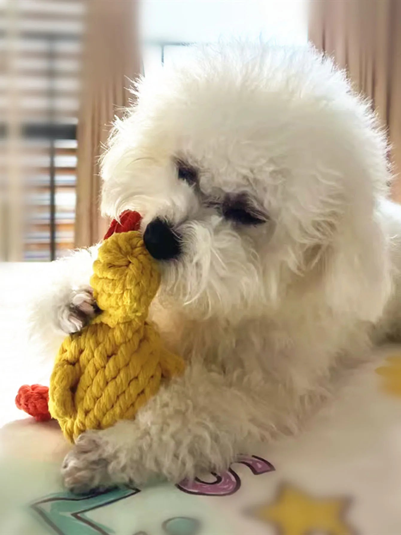 Woven Rope Buddies