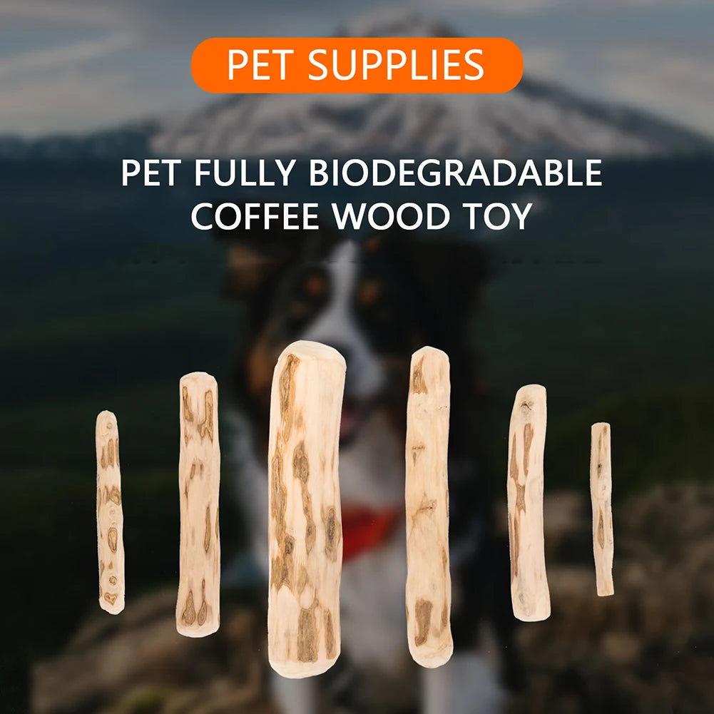 Coffee Wood Chew Stick