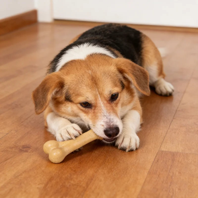 Natural Wood Chew Bone