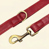 Premium Leather Dog Leash