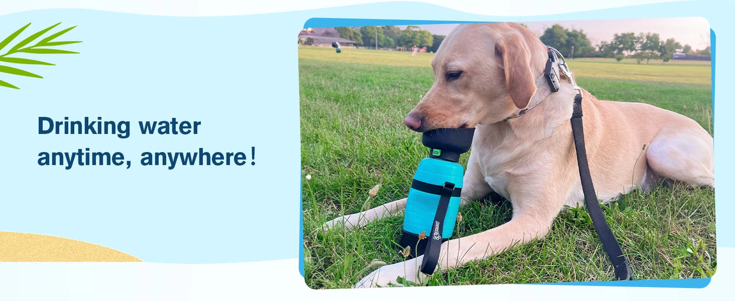 On-the-Go Water & Snack Bottle