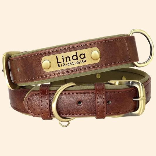 Personalized Leather Dog Collar