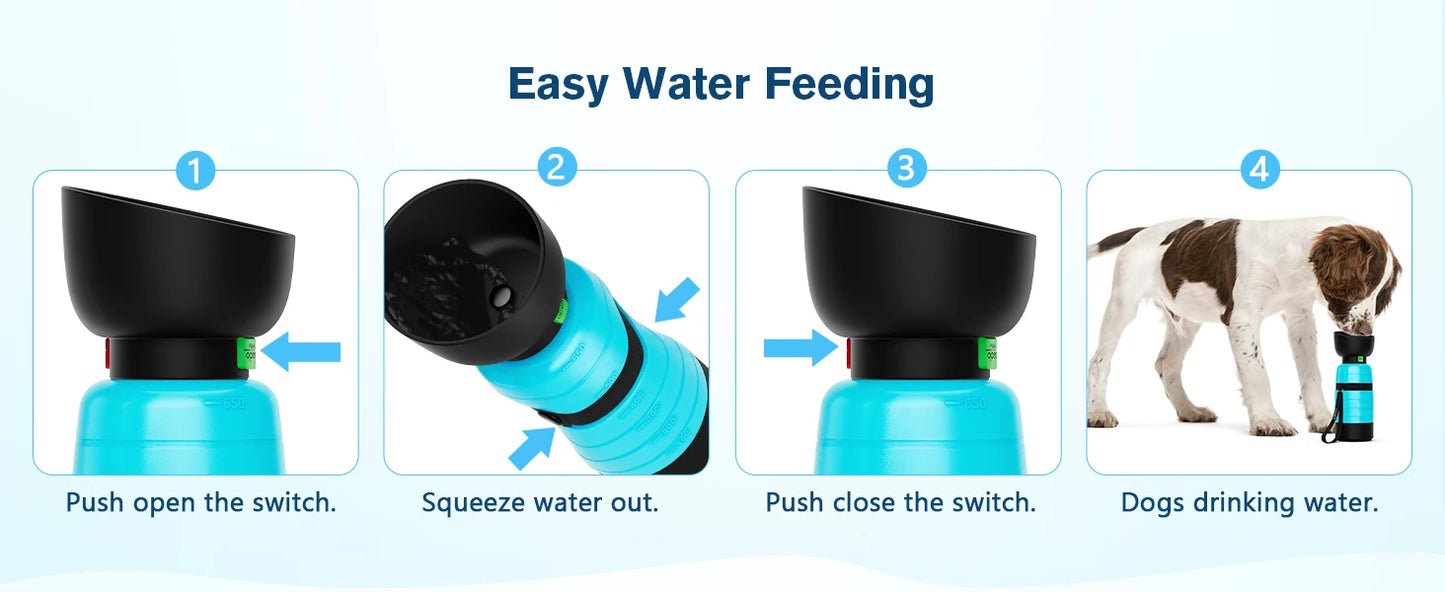 On-the-Go Water & Snack Bottle