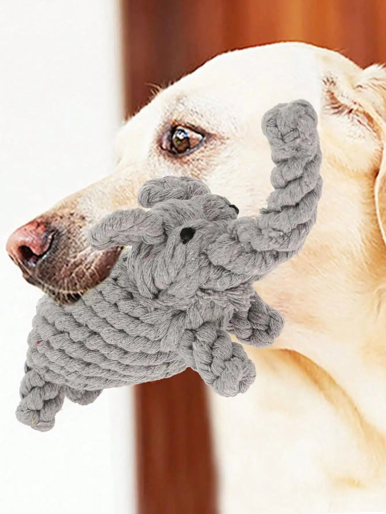 Woven Rope Buddies