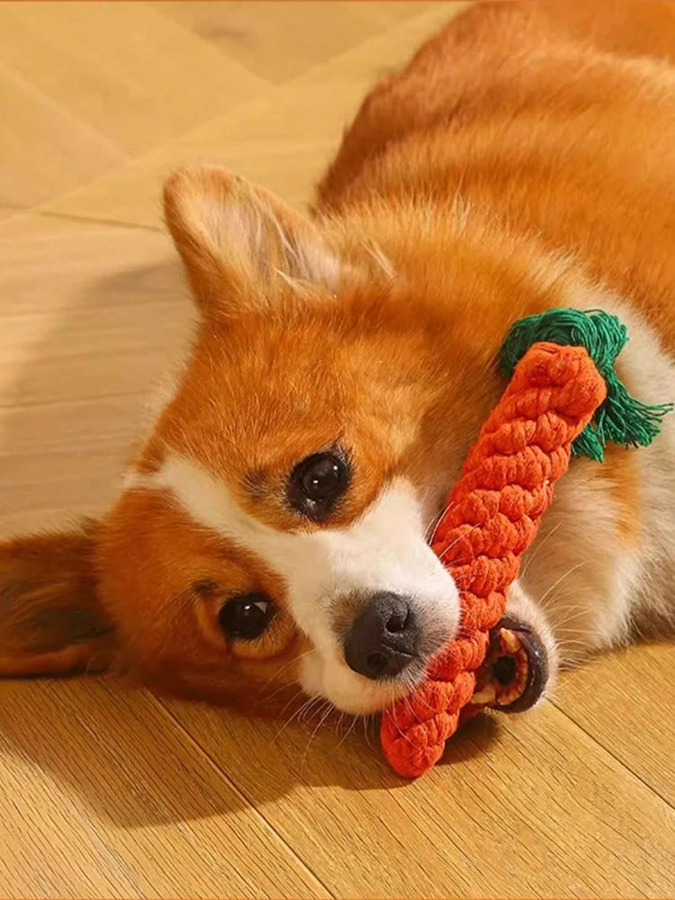 Woven Rope Buddies