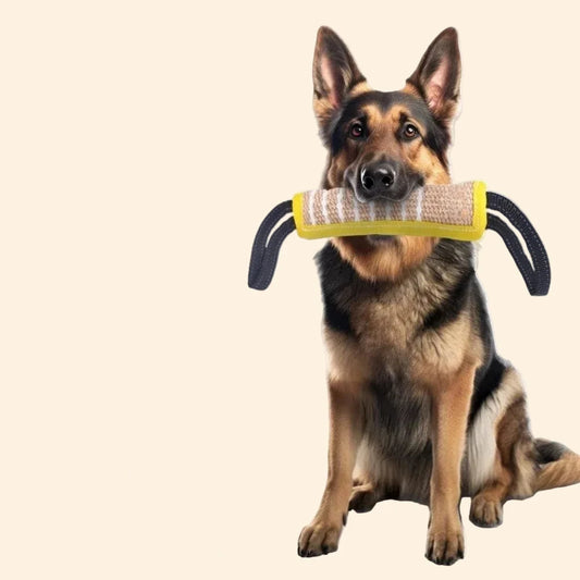 Jute Tug & Bite Toy