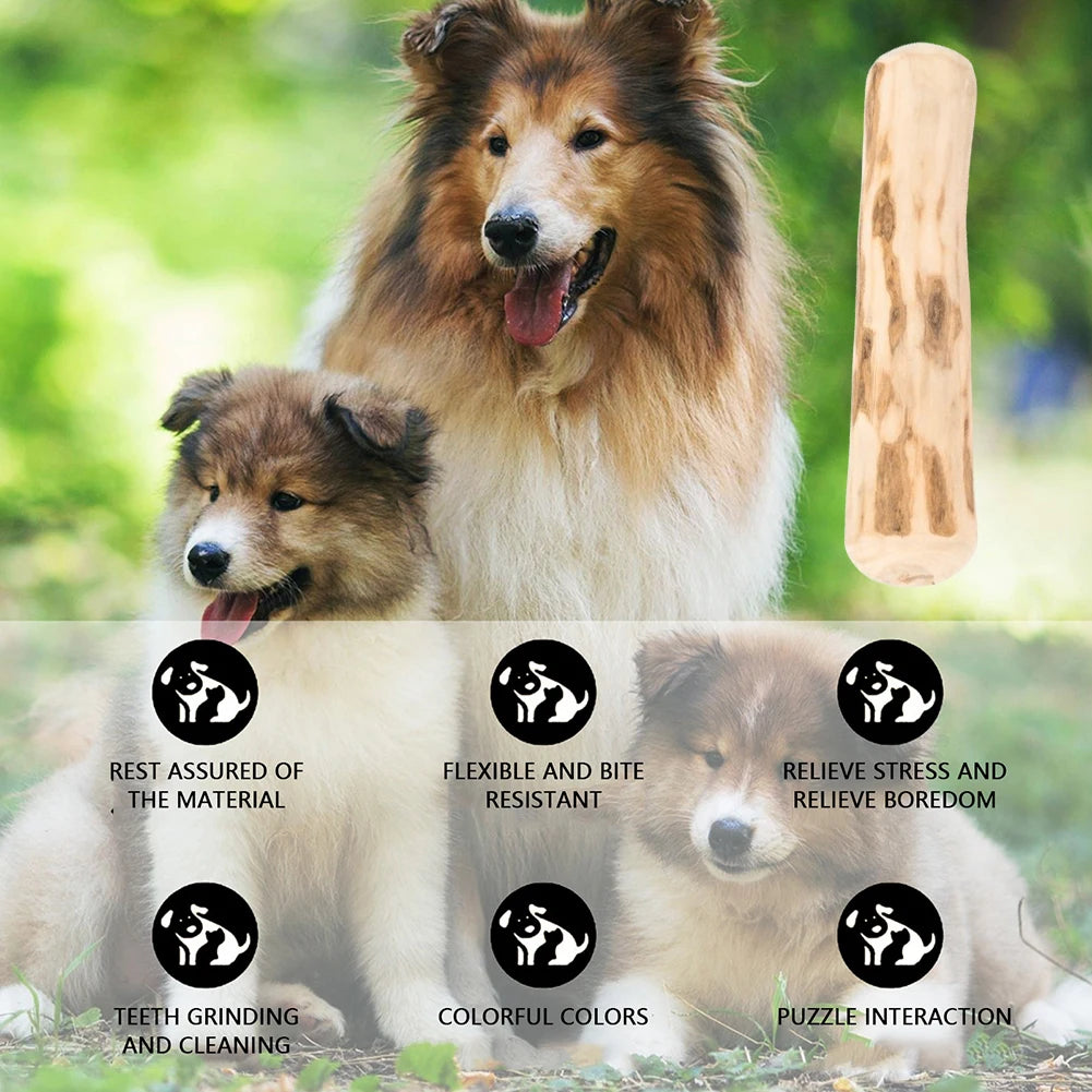Coffee Wood Chew Stick